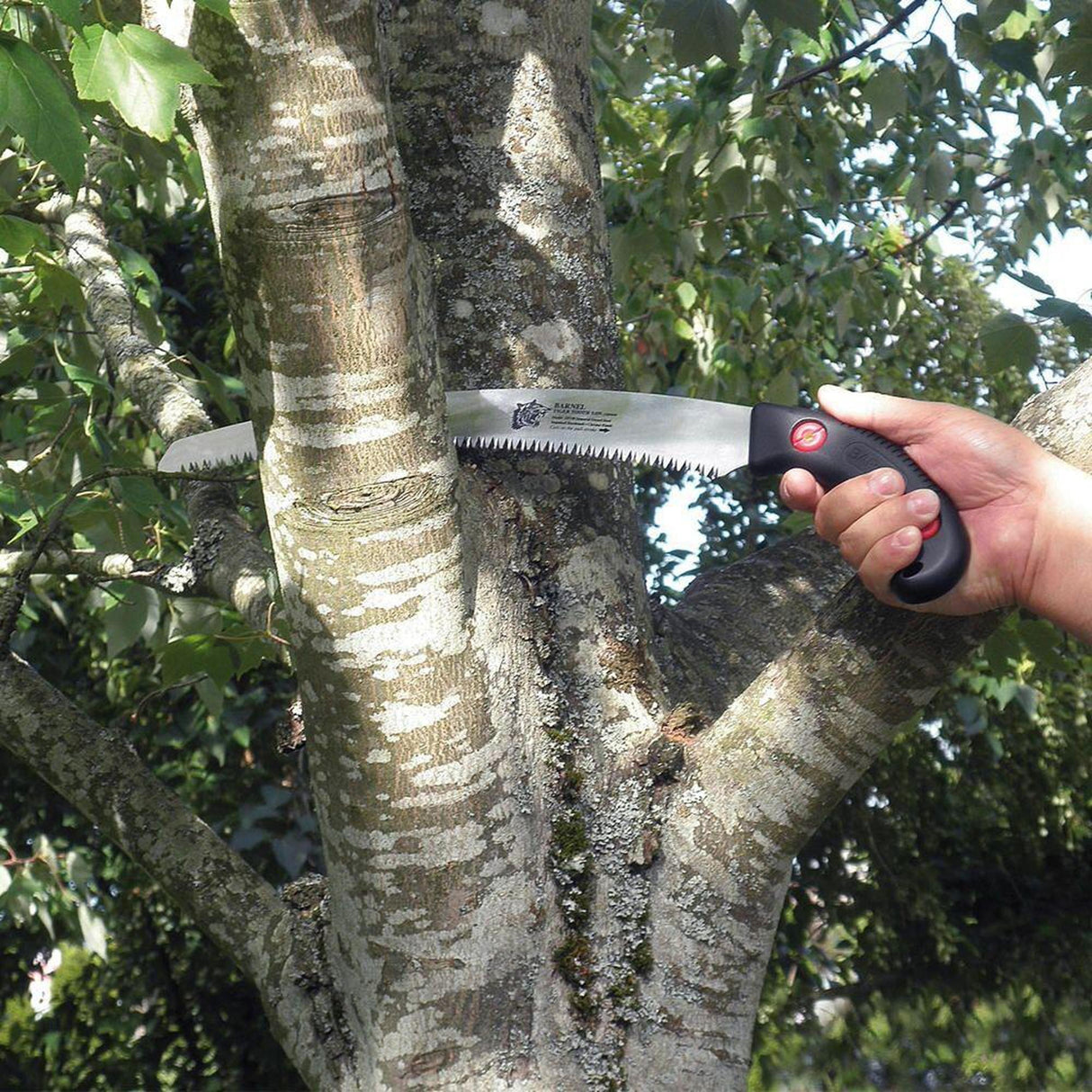 Barnel ZF330 Tiger Tooth Arborist Saw - 330mm (13" inch) Curved Blade