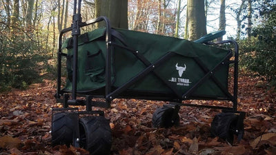 Bull waggon in a forest setting