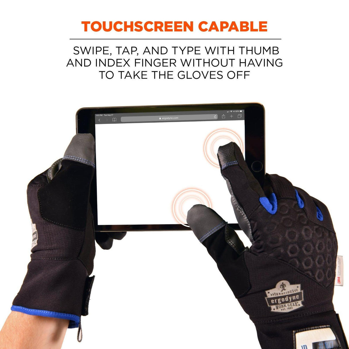 Ergodyne ProFlex 817 Thermal Utility Gloves - Black (Large)